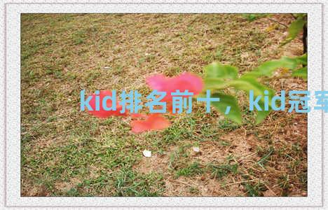 kid排名前十，kid冠军