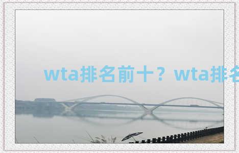 wta排名前十？wta排名第一