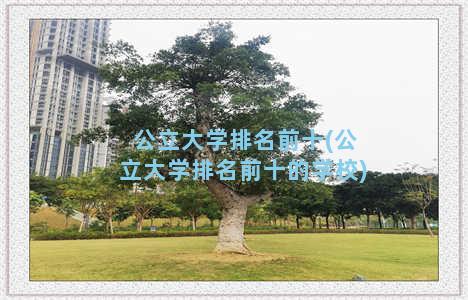 公立大学排名前十(公立大学排名前十的学校)