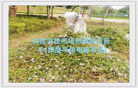 印度平板市场份额排名前十(印度平板电脑市场)