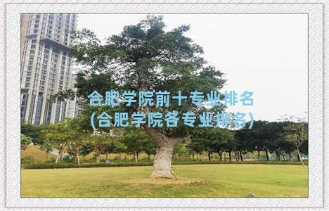 合肥学院前十专业排名(合肥学院各专业排名)