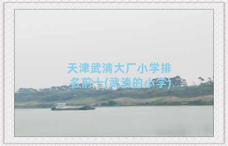 天津武清大厂小学排名前十(武清的小学)