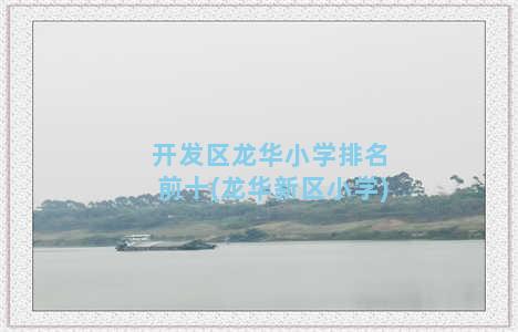 开发区龙华小学排名前十(龙华新区小学)