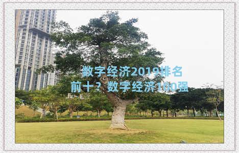 数字经济2019排名前十？数字经济100强