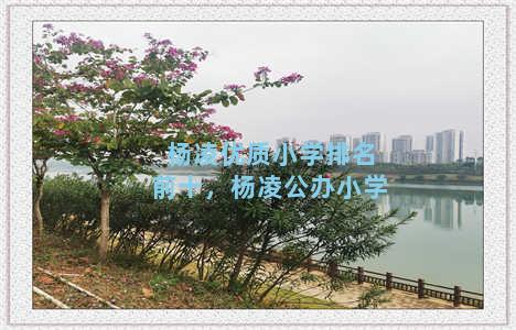 杨凌优质小学排名前十，杨凌公办小学