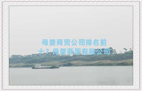 母婴商贸公司排名前十？母婴商贸有限公司