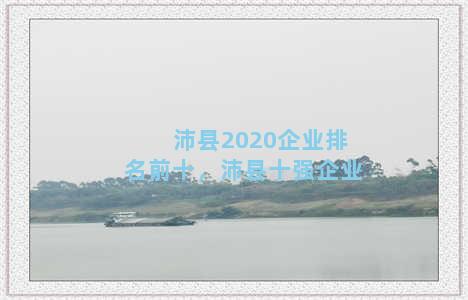 沛县2020企业排名前十，沛县十强企业