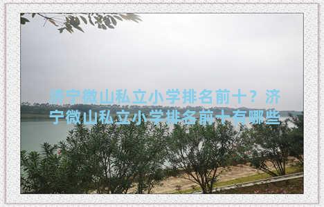 济宁微山私立小学排名前十？济宁微山私立小学排名前十有哪些