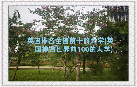 英国排名全国前十的大学(英国排名世界前100的大学)